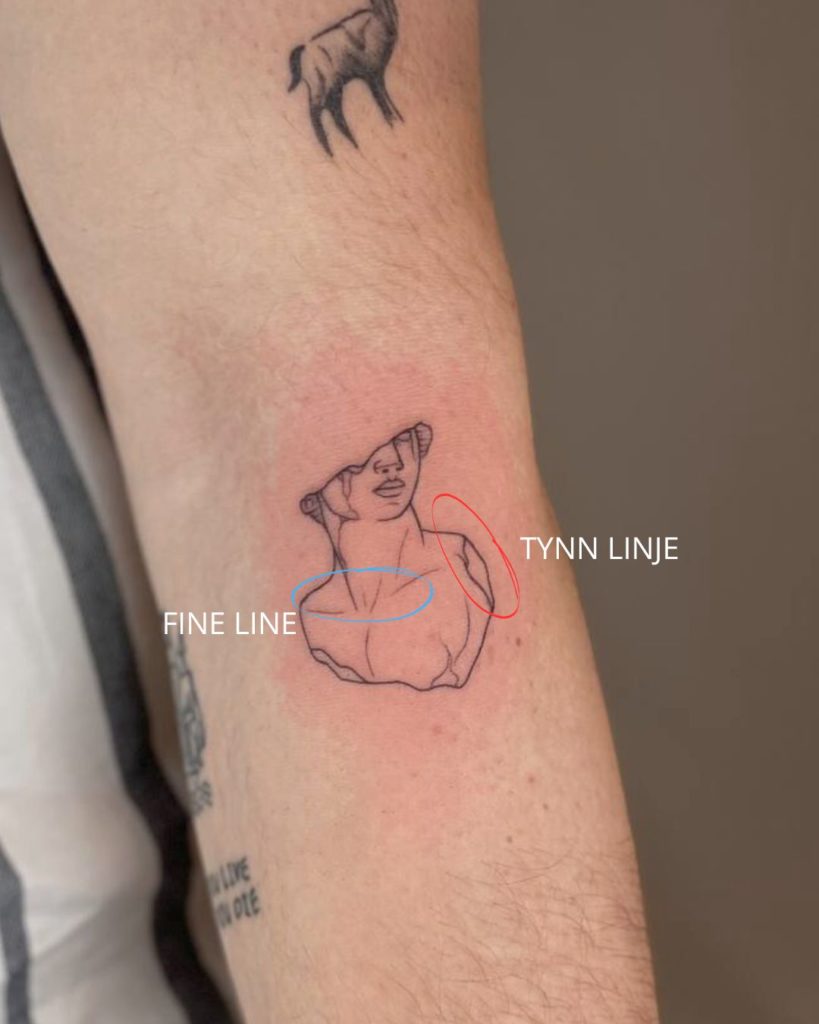 fineline-tattoo-tynnelinjer